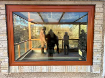 Fenster Referenz 6